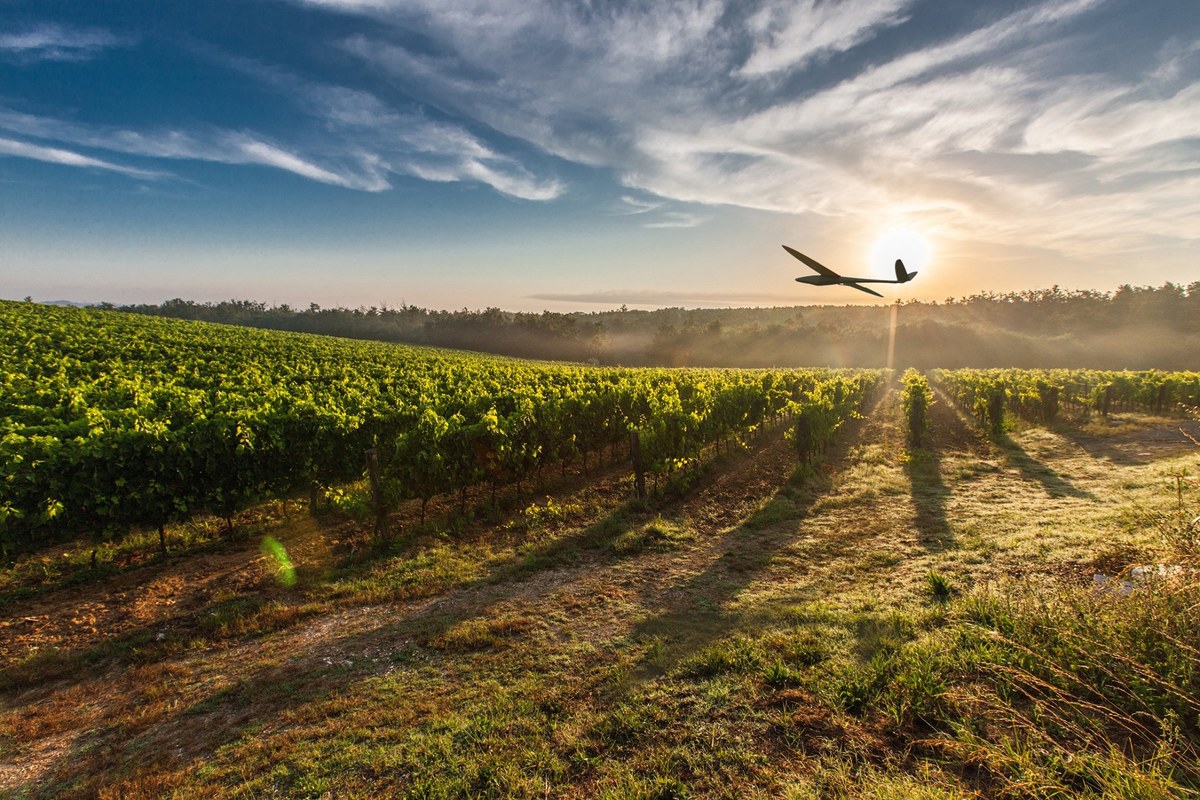 "Closed sky". The creator of SKIF agricultural drones Oleksandr Danylenko launches a school for drone operators and donates his planes to the Armed Forces. Here is his story